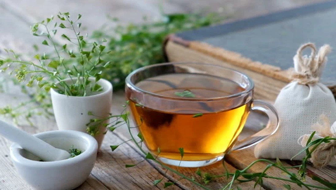 Các bài thuốc nam hỗ trợ điều trị bệnh gout hiệu quả