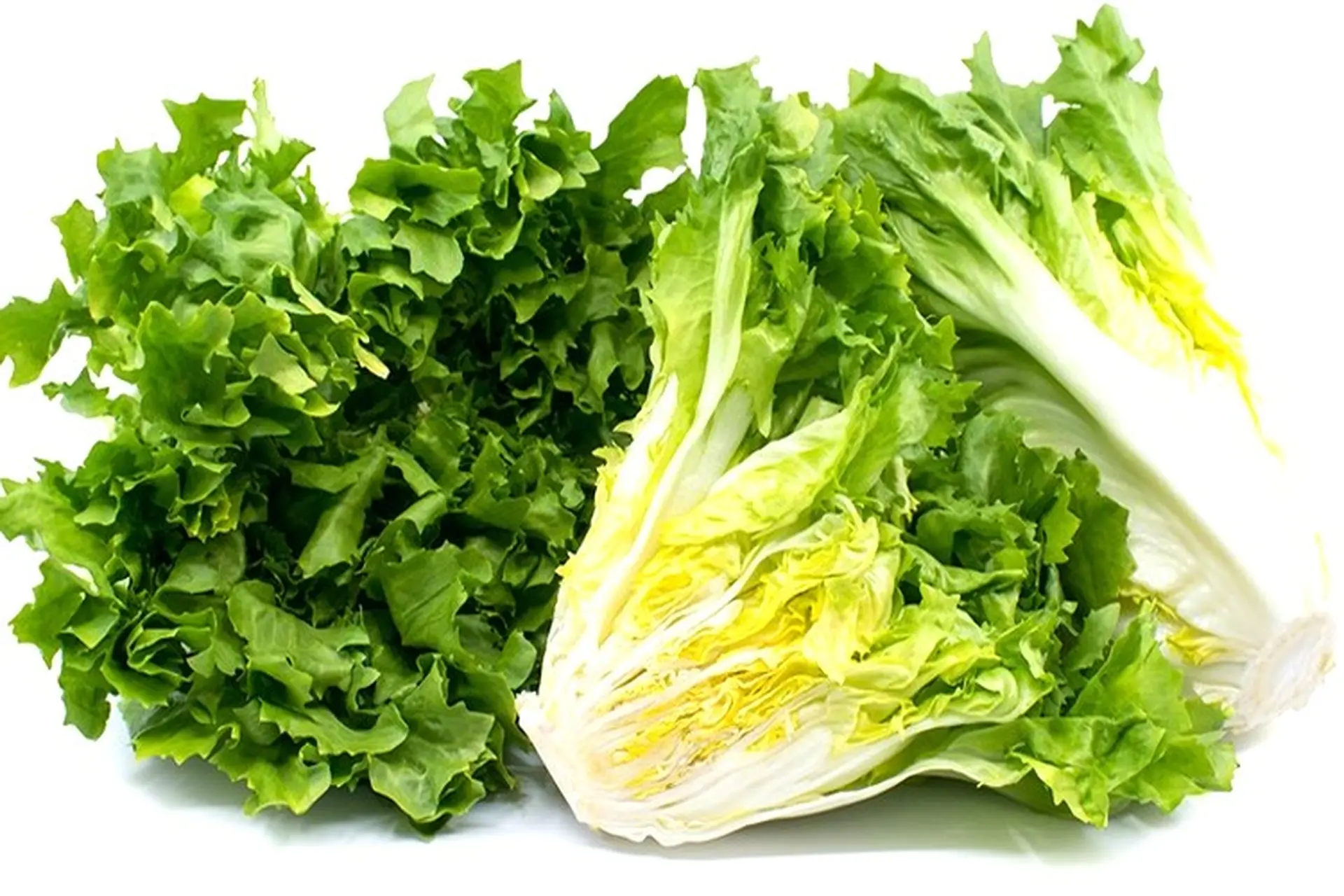 Rau xà lách Escarole: Siêu thực phẩm cho sức khỏe và sắc đẹp