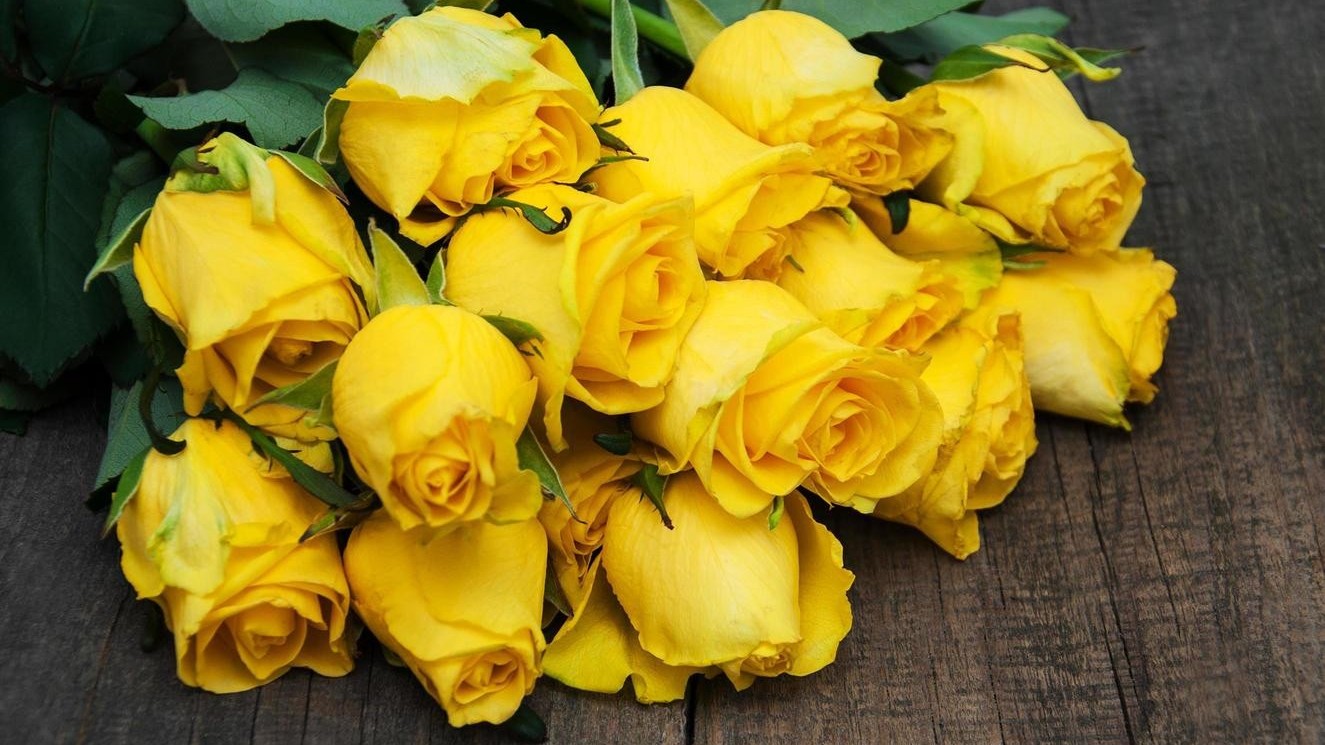 Dự báo thời tiết ngày 29/10/2025: Bắc Bộ sáng sớm trời lạnh, có nơi trời rét