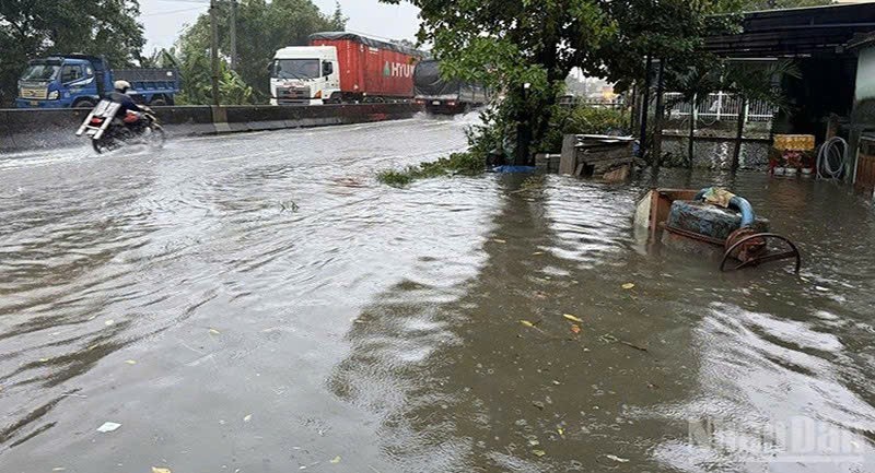 Đắk Lắk: Đảm bảo an toàn thực phẩm trong mùa mưa bão
