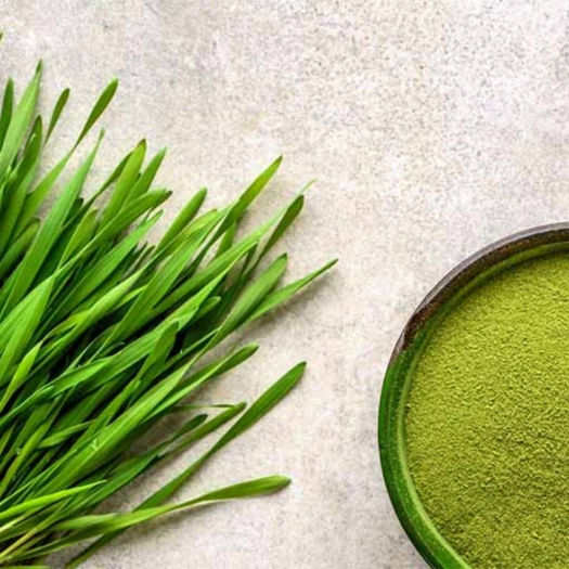 Kỳ 2: Lá hẹ – Vị thuốc giúp xương chắc, tiêu hóa khỏe