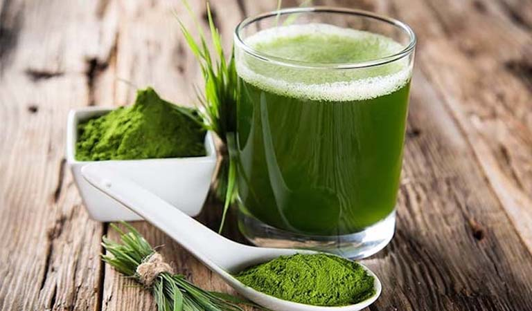 Từ lâu, hẹ là một loại rau giàu dinh dưỡng được sử dụng phổ biến tại Việt Nam