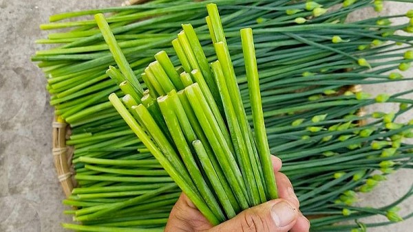 Kỳ 1: Lá hẹ – Bí quyết làm đẹp và chữa bệnh quen thuộc trong dân gian