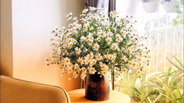 Dự báo thời tiết ngày 31/10/2025: Bắc Bộ nhiều mây, có mưa, trời lạnh