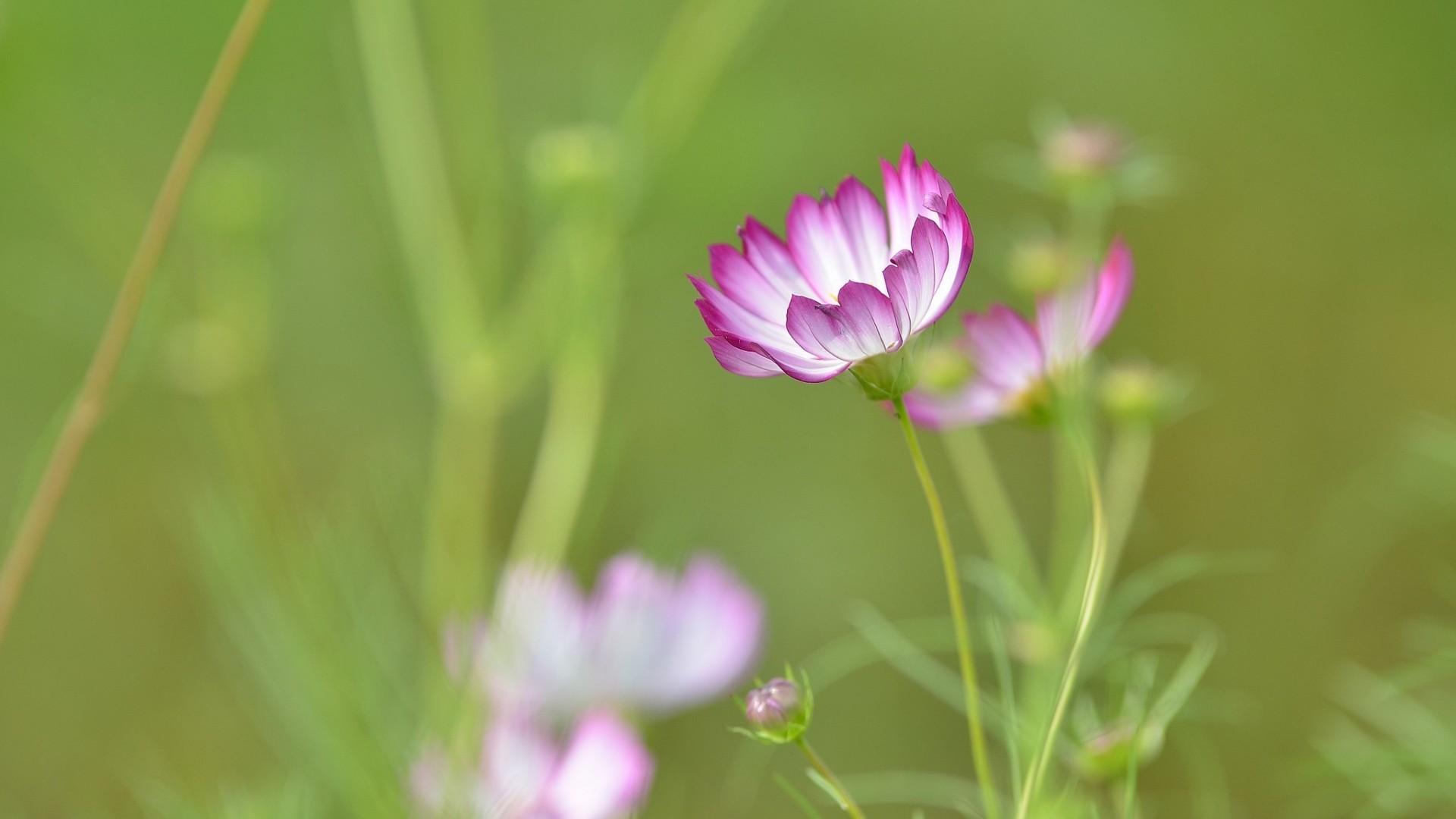 Dự báo thời tiết ngày 1/11/2025: Bắc Bộ trời lạnh, nhiều mây, có mưa