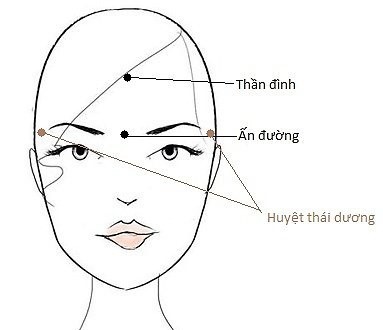 Y học cổ truyền phòng ngừa suy giảm trí nhớ