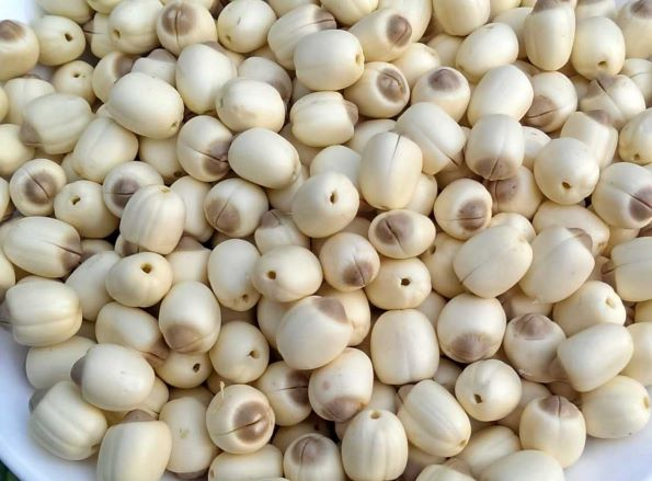 Y học cổ truyền phòng ngừa suy giảm trí nhớ