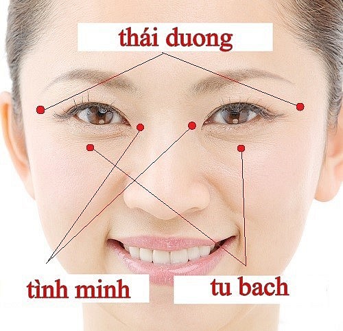 Y học cổ truyền phòng ngừa suy giảm trí nhớ