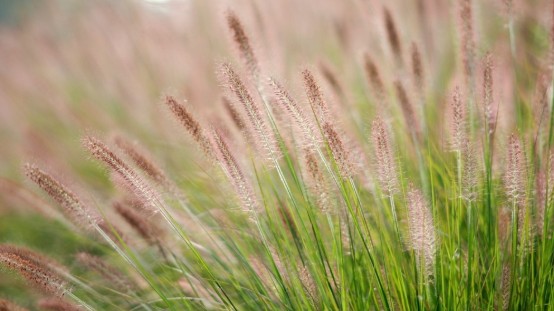 Thời tiết ngày 2/11/2025: Miền Bắc có mưa rải rác, trời lạnh