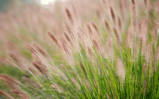 Thời tiết ngày 2/11/205: Miền Bắc mưa rải rác, trời lạnh