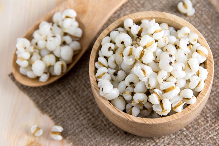 Ý dĩ – “Ngọc mạch” trong kho tàng dược liệu cổ truyền