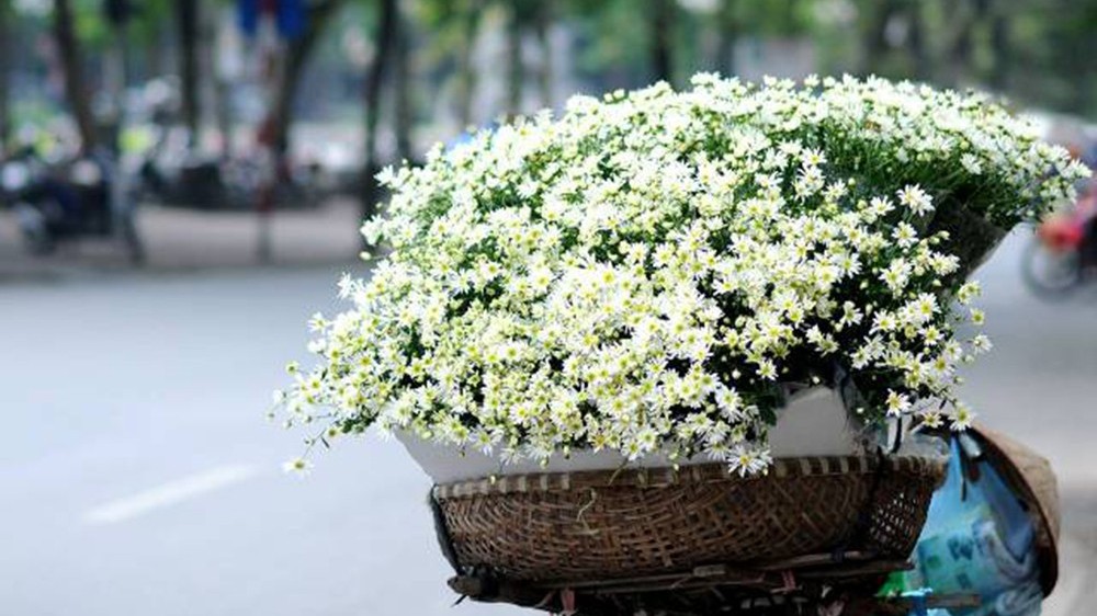 Dự báo thời tiết ngày 3/11/2025: Bắc Bộ trời rét, Nam Bộ rải rác có dông