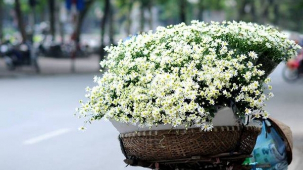 Dự báo thời tiết ngày 3/11/2025: Bắc Bộ trời rét, Nam Bộ rải rác có dông