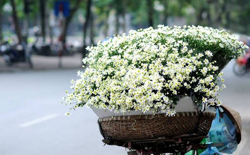 Dự báo thời tiết đêm nay và ngày mai 3/11: Hà Nội và các khu vực trên cả nước Dự báo thời tiết đêm nay và ngày mai 3/11: Hà Nội và các khu vực trên cả nước