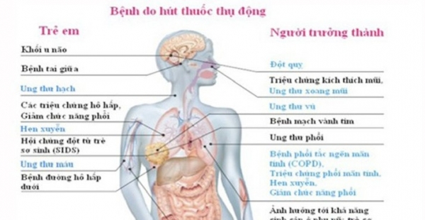 Lồng ghép hoạt động tư vấn cai nghiện thuốc lá vào các chương trình y tế quốc gia