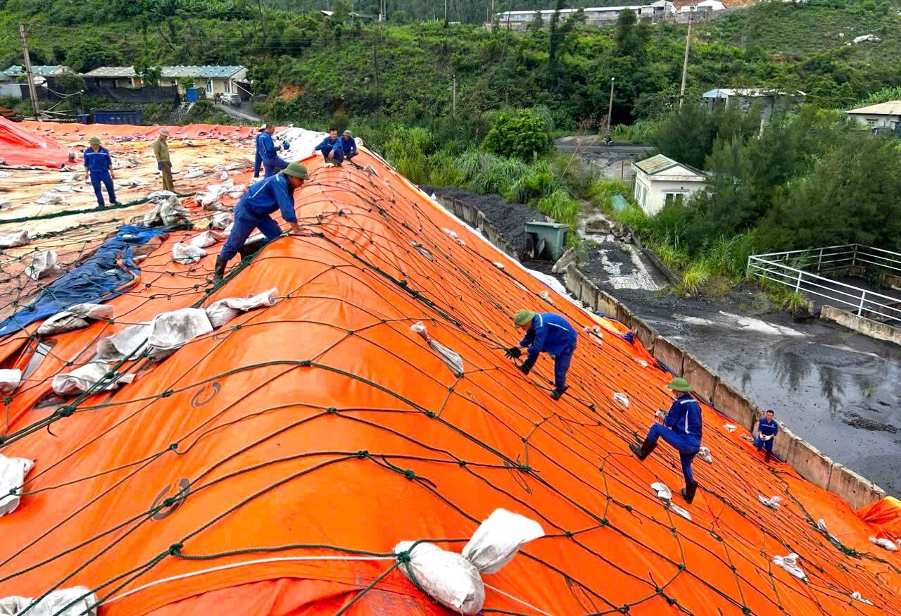 Công ty Tuyển than Hòn Gai - Vinacomin: Kiên định mục tiêu “Xanh hóa ngành than”