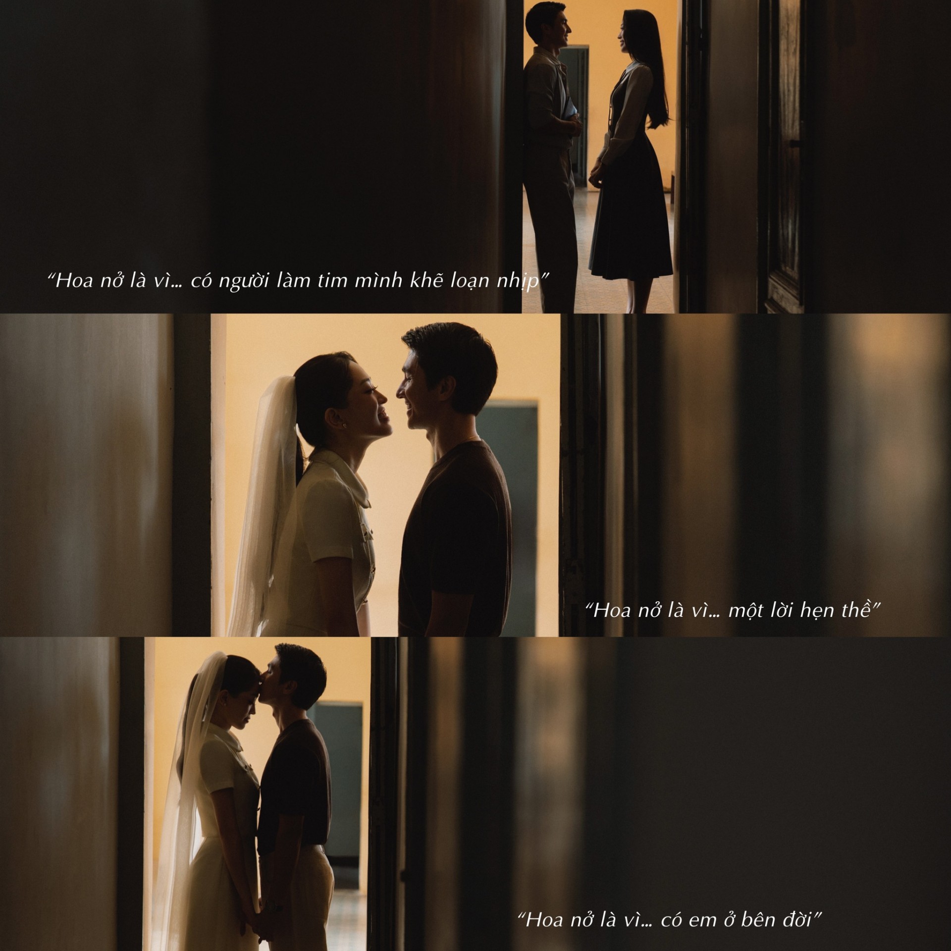 Calie House tung bộ sưu tập mới nhân dịp 20/10: Tôn vinh vẻ đẹp dịu dàng và bền bỉ của người phụ nữ hiện đại