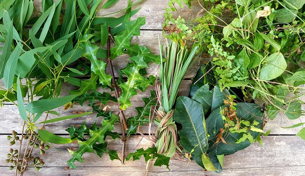 Bài thuốc xông giải cảm: Tinh hoa của dược liệu cổ truyền