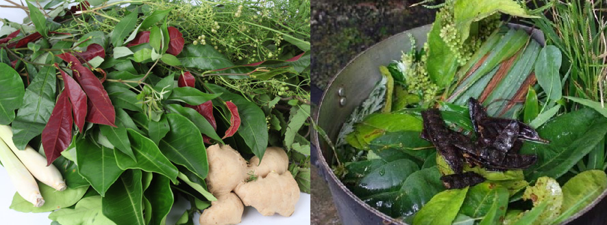 Bài thuốc xông giải cảm: Tinh hoa của dược liệu cổ truyền