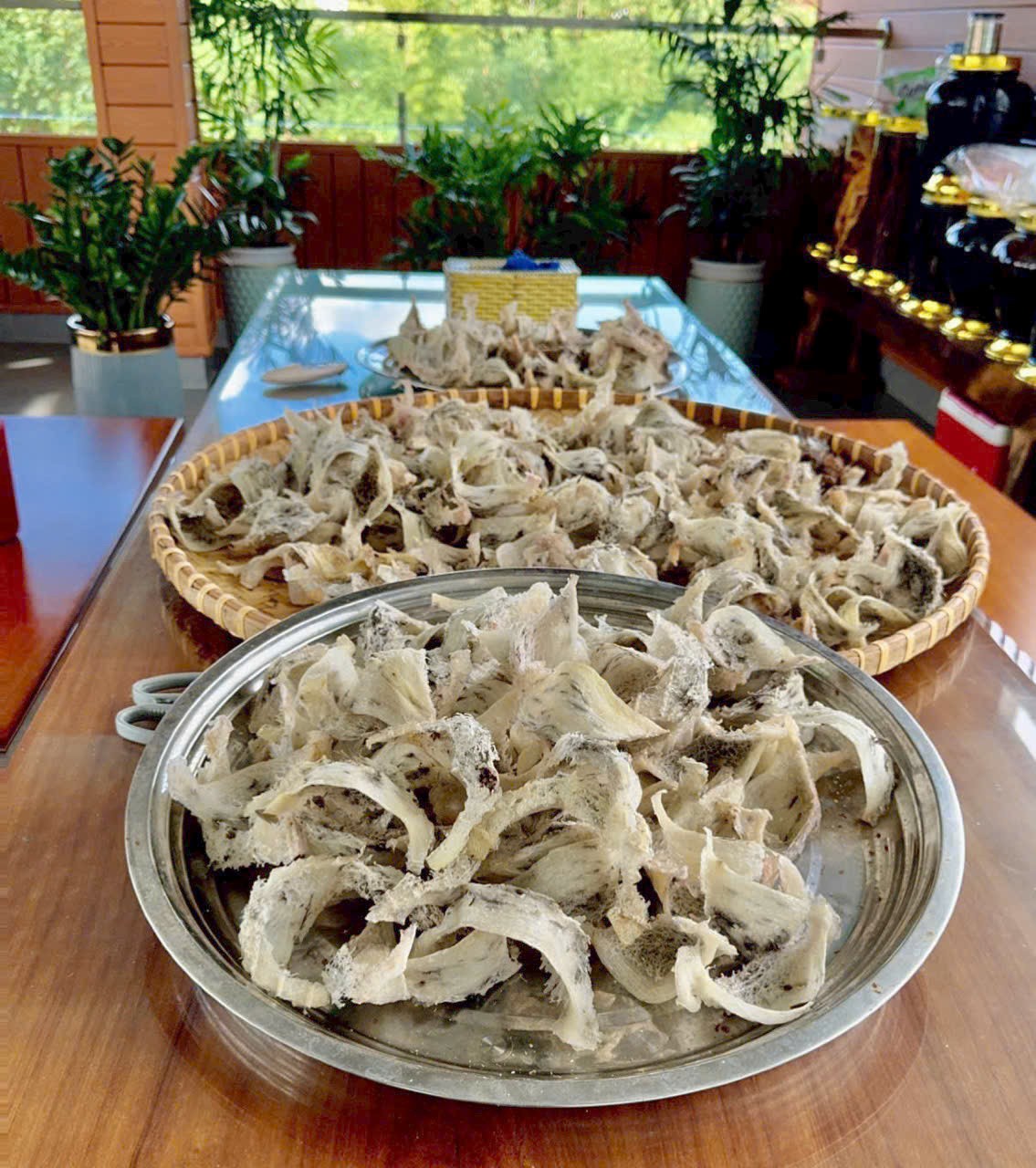 Đắk Lắk: Yến sào Minh Thắng mang lại những sản phẩm chất lượng đáp ứng nhu cầu ăn sạch, sống khỏe