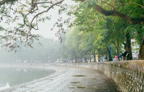 Dự báo thời tiết ngày 8/11/2025: Bắc Bộ nhiều mây, có mưa