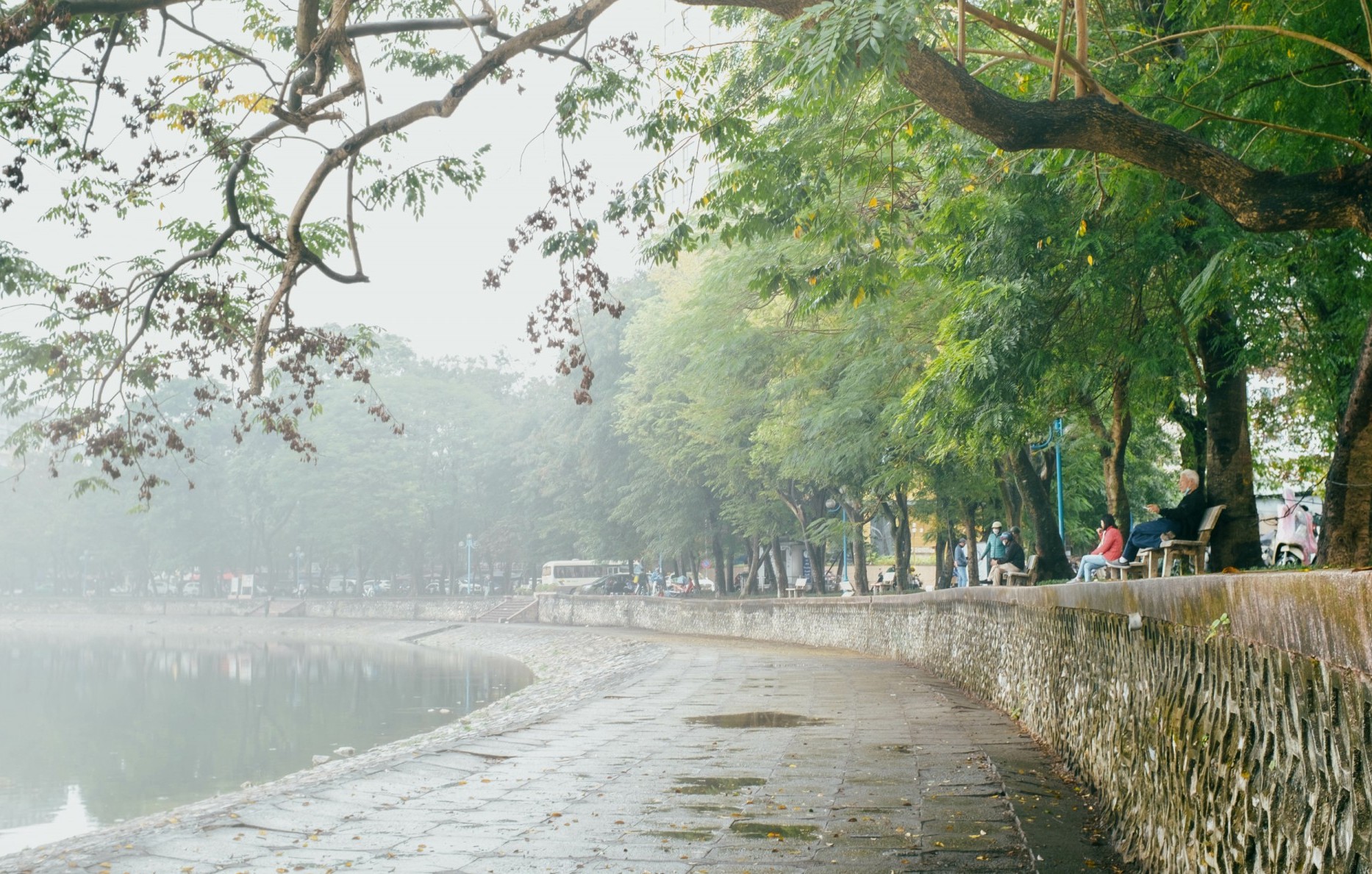 Dự báo thời tiết ngày 8/11/2025: Bắc Bộ nhiều mây, có mưa