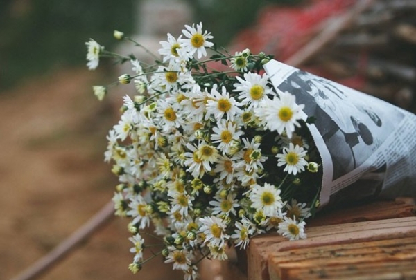 Dự báo thời tiết ngày 9/11/2025: Miền Bắc có mưa rải rác