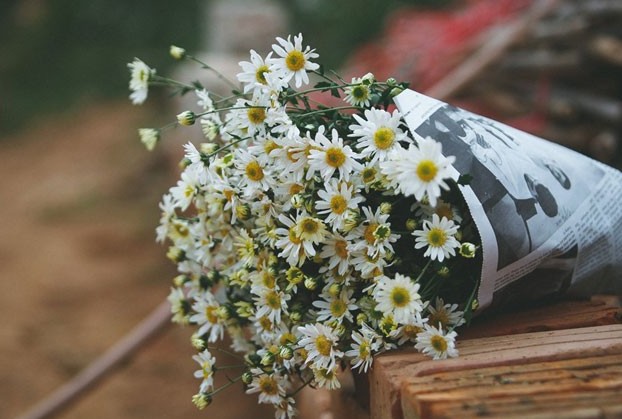 Dự báo thời tiết ngày 9/11/2025: Miền Bắc có mưa rải rác