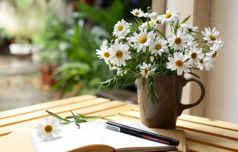 Dự báo thời tiết đêm nay và ngày mai 11/11: Hà Nội và các khu vực trên cả nước