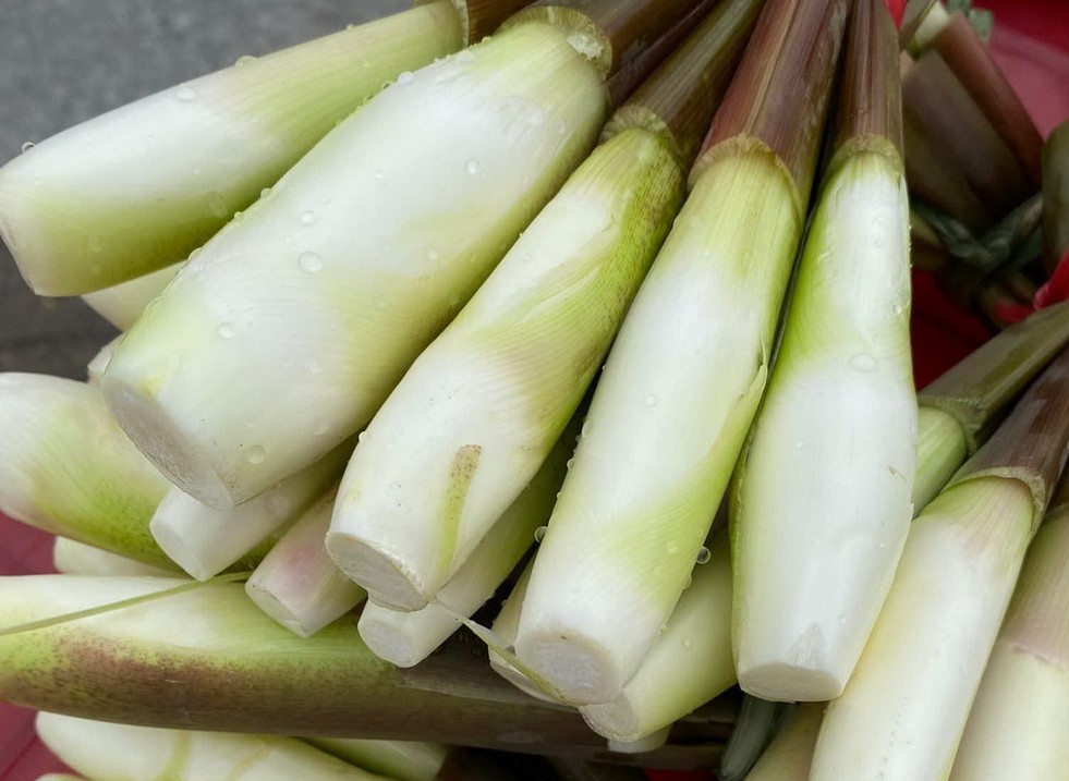 Củ niễng: Thực phẩm dân dã, vị thuốc quý từ thiên nhiên