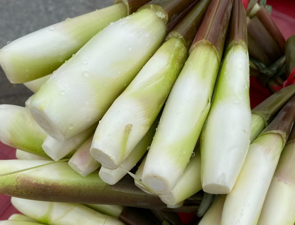 Củ niễng: Thực phẩm dân dã, vị thuốc quý từ thiên nhiên