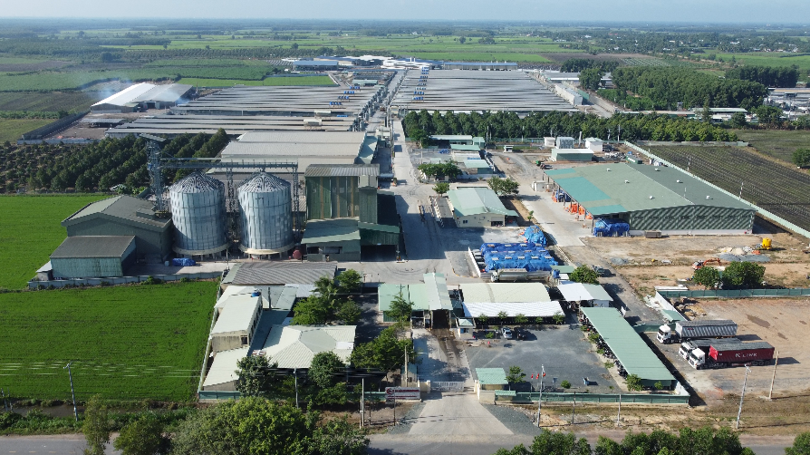 ORGANICa Việt Nhật - Giải pháp toàn diện cho đất khỏe, cây trồng bền vững ORGANICa Việt Nhật - Giải pháp toàn diện cho đất khỏe, cây trồng bền vững