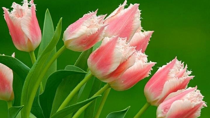 Dự báo thời tiết ngày 16/11/2025: Bắc Bộ nhiều mây, đêm và sáng sớm trời rét