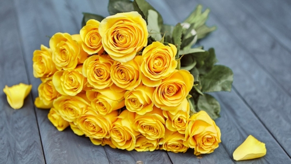 Dự báo thời tiết ngày 14/11/2025: Bắc Bộ không mưa, đêm và sáng sớm trời rét