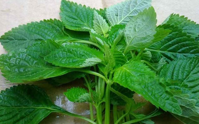 6 loại gia vị trong bếp giúp phòng ngừa cảm cúm khi giao mùa