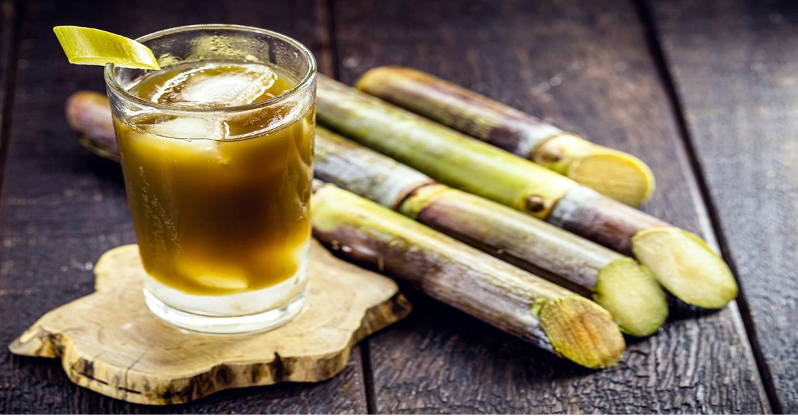 Cây mía - Vị thuốc thanh nhiệt, dưỡng sinh