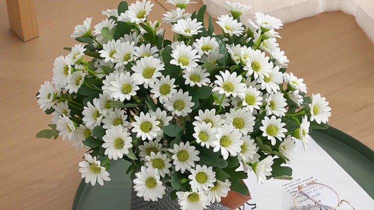 Dự báo thời tiết ngày 17/11/2025: Bắc Bộ từ chiều tối có mưa rào và dông