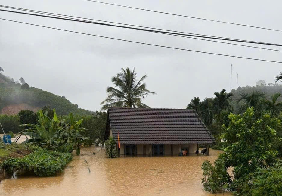 Đắk Lắk: Mưa lớn liên tục khiến nhiều địa phương trong tỉnh bị ngập sâu trong nước Đắk Lắk: Mưa lớn liên tục khiến nhiều địa phương trong tỉnh bị ngập sâu trong nước
