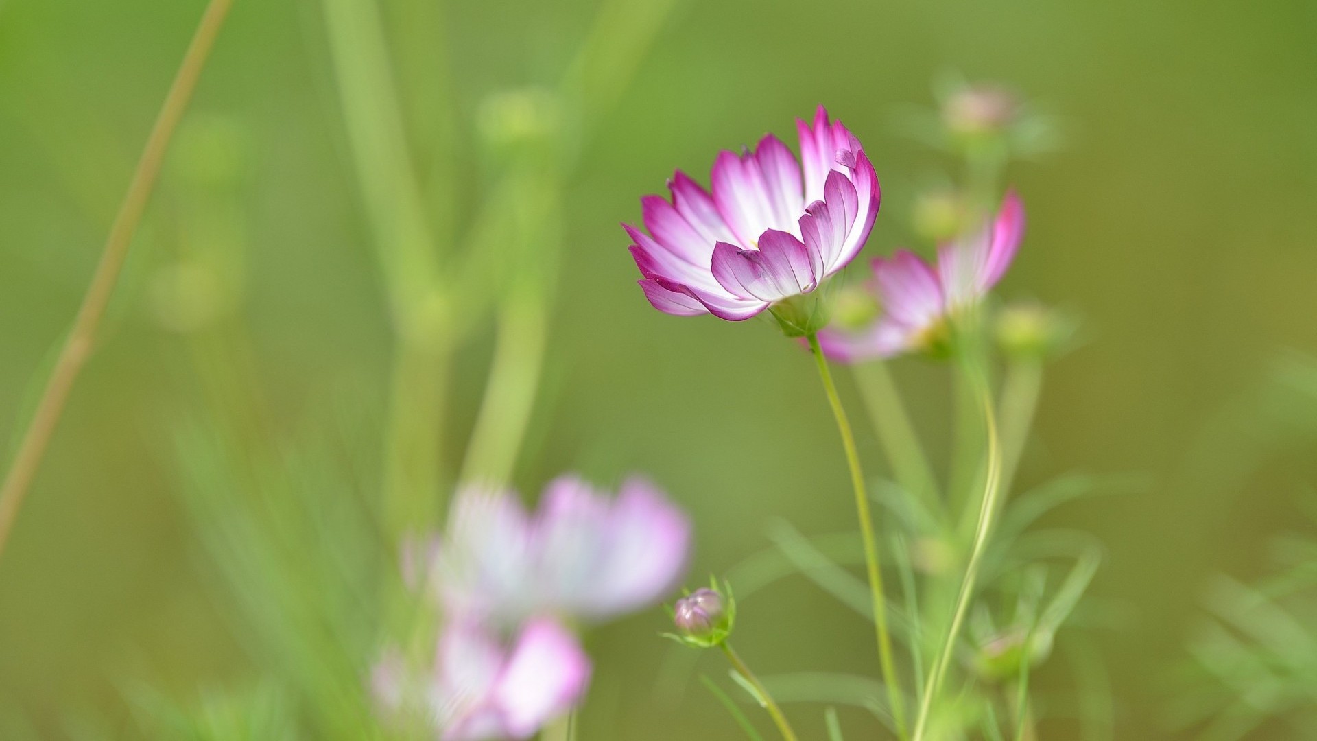 Dự báo thời tiết ngày 18/11/2025: Miền Bắc chuyển rét, có nơi rét đậm