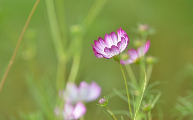 Dự báo thời tiết đêm nay và ngày mai 18/11: Hà Nội và các khu vực trên cả nước