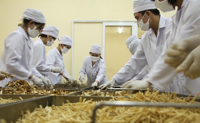 Dự thảo hướng dẫn hoạt động y học cổ truyền trong cơ sở khám, chữa bệnh