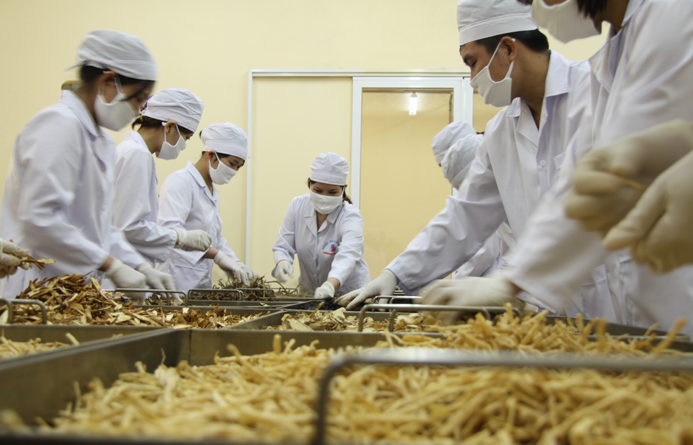 Dự thảo hướng dẫn hoạt động y học cổ truyền trong cơ sở khám, chữa bệnh