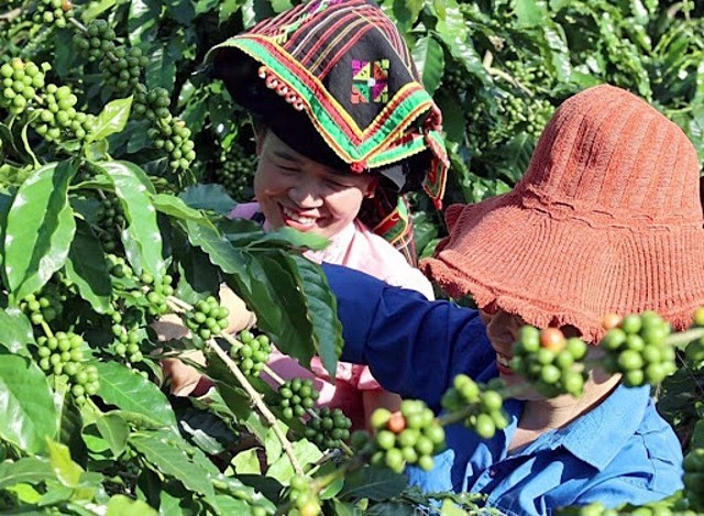Nụ cười đến từng hộ, từng bản trên hành trình giảm nghèo bền vững ở Điện Biên