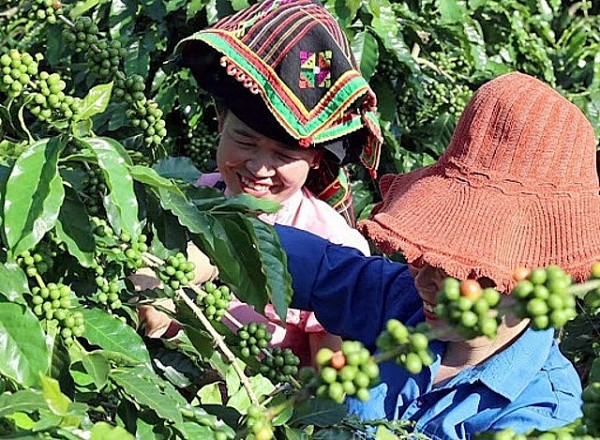 Nụ cười đến từng hộ, từng bản trên hành trình giảm nghèo bền vững ở Điện Biên