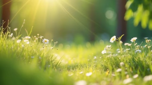 Dự báo thời tiết ngày 21/11/2025: Bắc Bộ đêm và sáng trời rét, vùng núi có nơi dưới 12 độ C