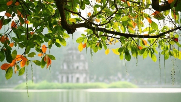 Dự báo thời tiết ngày 23/11/2025: Bắc Bộ ngày nắng, gió nhẹ