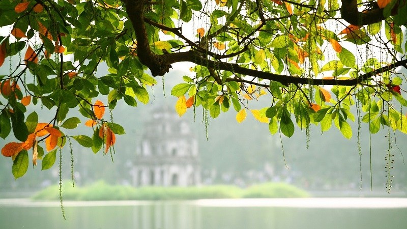 Dự báo thời tiết ngày 23/11/2025: Bắc Bộ ngày nắng, gió nhẹ