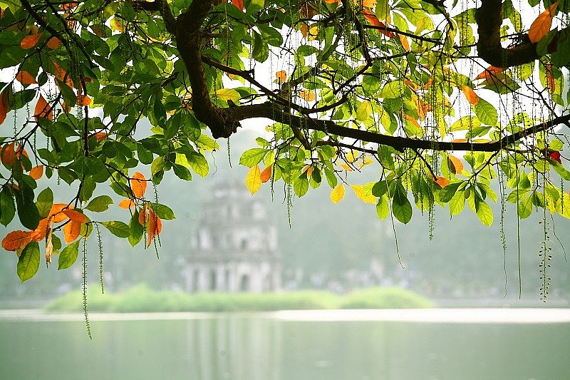 Dự báo thời tiết đêm nay và ngày mai 23/11: Hà Nội và các khu vực trên cả nước