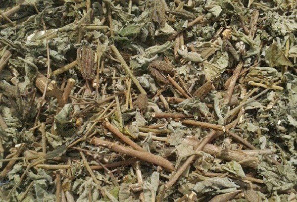 Những tác dụng của cây chìa vôi trong chữa bệnh thoát vị đĩa đệm