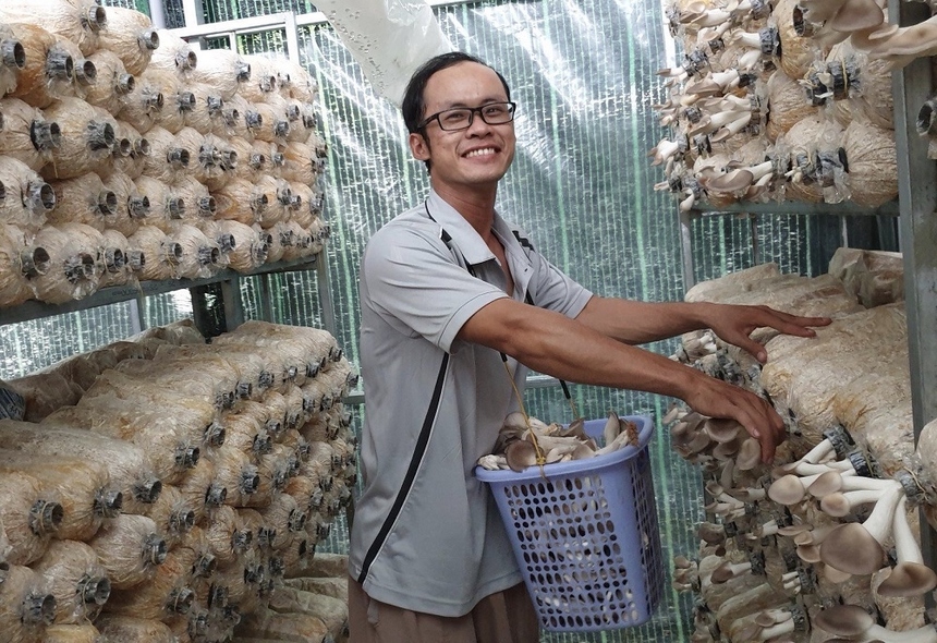 Hợp tác xã Nấm Tam Đảo: Điểm sáng kinh tế nông nghiệp vùng Tam Đảo